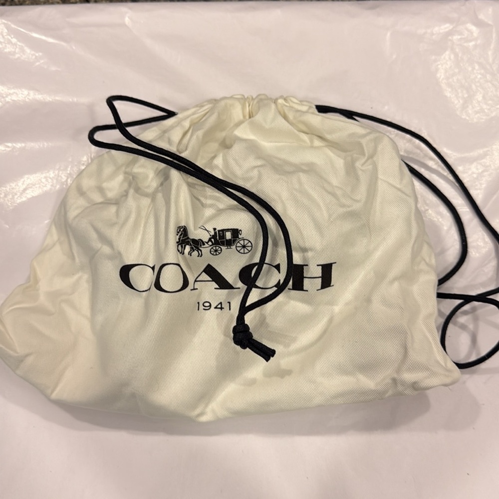 Coach 1941 Tea Rose Applique Clutch (Beechwood) NWT - Picture 8 of 9